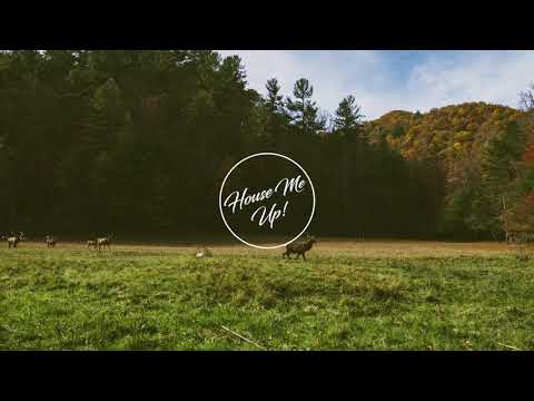 Roni Iron - TsopanaRave (Original Mix)