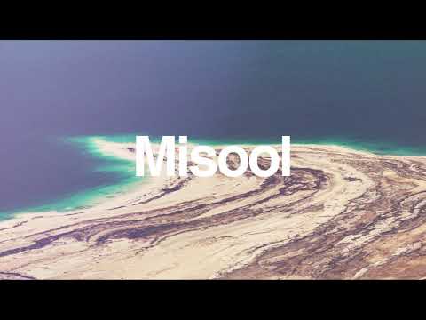 Shapov - Chasing Shadows (feat. Cal)