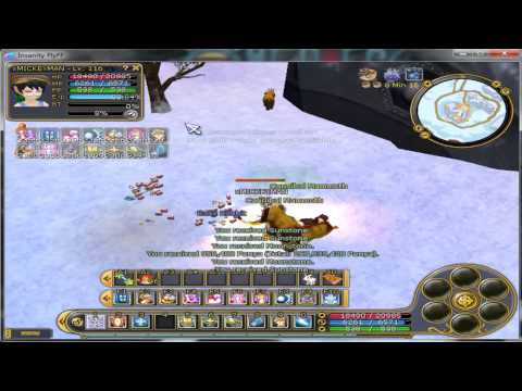 Insanity Flyff - AOE de RM & Pegando Master