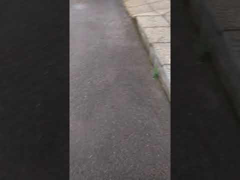 Fluminimaggiore via Cagliari io ripulisco e gli altri accumulano