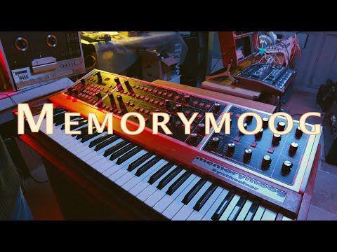 Memorymoog - 1984 - A sound exploration