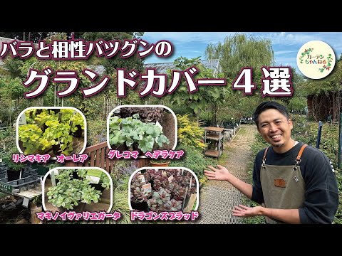 園芸 花でカバーする