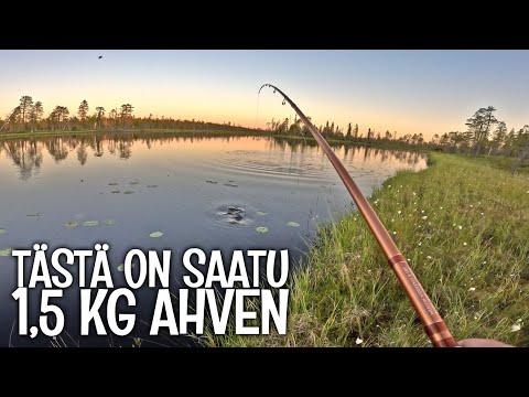 ELÄMÄNI TUSKALLISIN KALAREISSU - ISOA AHVENTA PIENESTÄ LAMMESTA