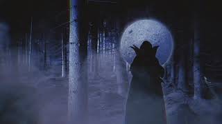 timbaland’s breakdown in missy’s “hit em wit da hee”, but you’re lost in the woods in the video