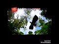 Iklan KukuBima Ener G Kalimantan