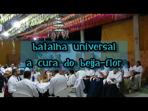 BATALHA UNIVERSAL - A CURA DO BEIJA FLOR
