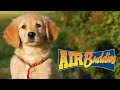 AIR BUDDIES - French Film Complet