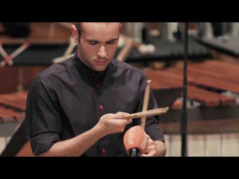 Simone Rubino beim Heidelberger Frühling 2017 | »Asventuras«