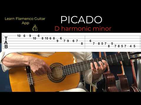 PICADO SCALE PATTERN- D harmonic Minor