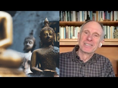 Different approaches to meditation with Joseph Goldstein | Living Mirrors #28 clips