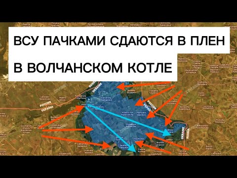 Десятки пленных бойцов ВСУ из Волчанского котла! Военные сводки 10.09.2026