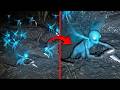 Real Fairies Caught On Camera That Will Mess With Your Head