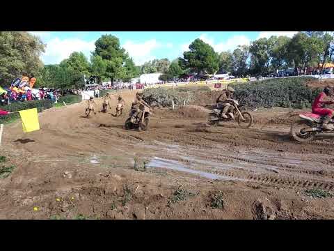 MX2 Gara 1 - Internazionali d'Italia Motocross Alghero 2026