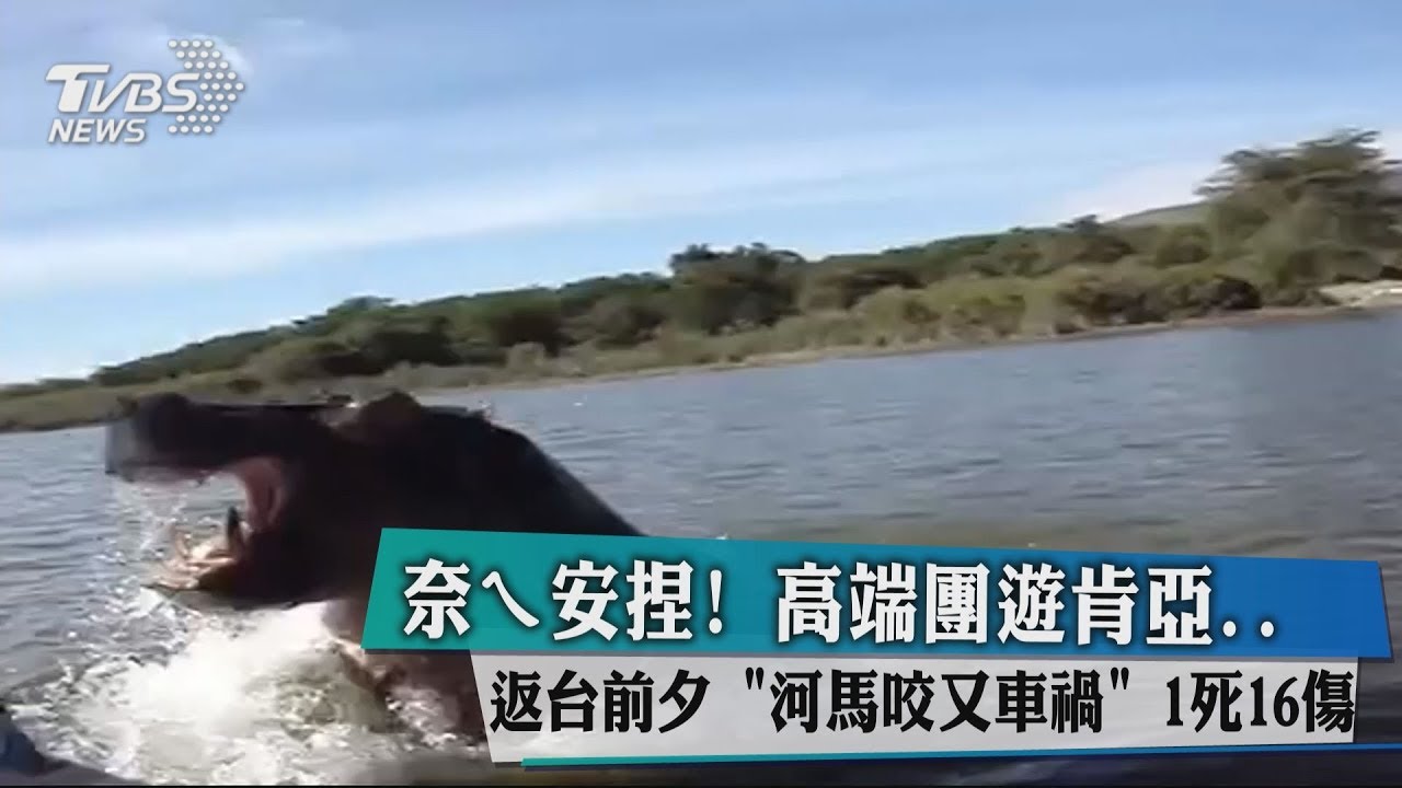 高端團遊肯亞　返台前夕「河馬咬又車禍」1死16傷
