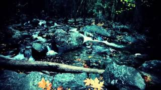 As If I Could Reach Rainbows