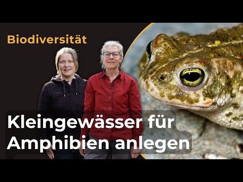 , title : 'Kleingewässer für Amphibien anlegen'