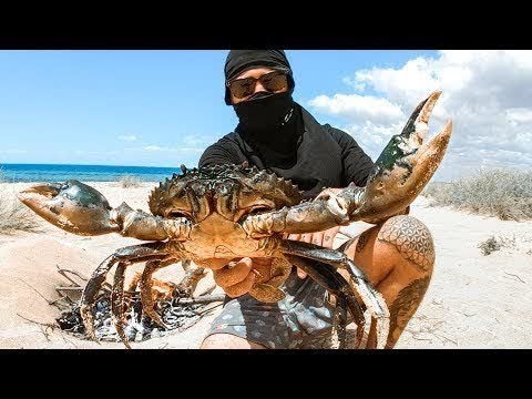 YBS Lifestyle Ep 22 - SOLO CAMPING WITH NO FOOD | Living From The Land