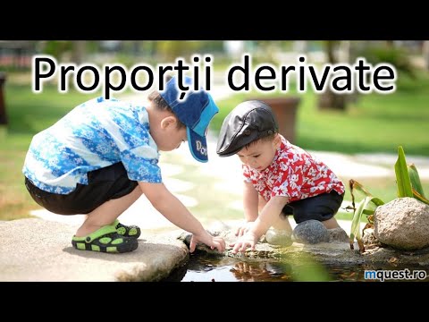Proportii derivate, clasa a VI-a