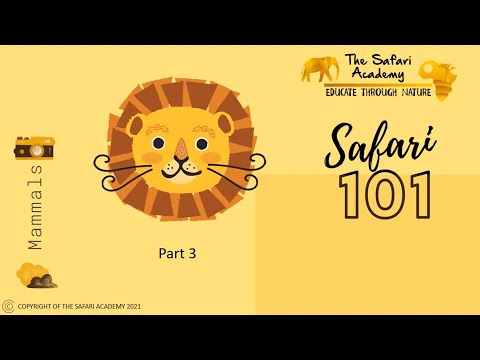 Safari 101 for kids I Part 3 | Mammals #kidslearning #onlineeducation #safari