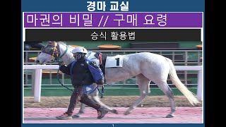 경마교실/ 마권의 비밀/경마분석/ 경주예상/마권구매요령