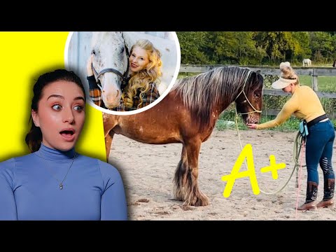 Let's Judge Horse Trainers: Free Spirit Equestrian