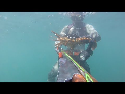 Lobster Diving / Freediving in Southern California 2018 - Wild West Watermen - S3 : E6