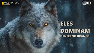 EUROPA SELVAGEM - Predadores Implacáveis que Dominam o Frio Extremo | Documentário Animal