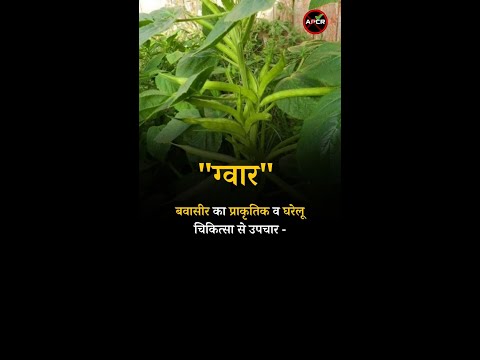 Natural and Home Remedies For Piles Guar #pilesclinic #piles #pilescare #antipiles #shorts #Guar