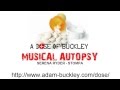 Musical Autopsy: Serena Ryder - Stompa 