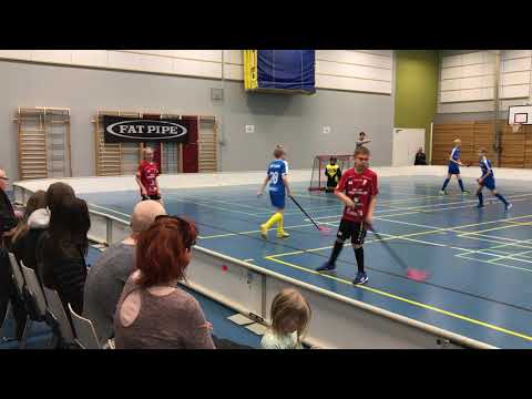 Hahe -OLS 06 Tiikerit