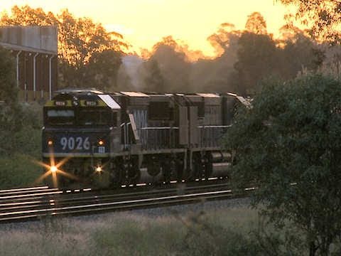 Pacific National & QR National coal trains in the Hunter Valley, NSW. PoathTV  Australian Railways