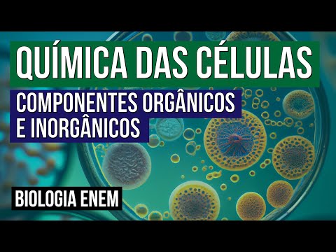 QUÍMICA DAS CÉLULAS: componentes orgânicos e inorgânicos | Biologia para o Enem | Cláudia Aguiar