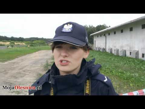 26.06.2012 Oleśnica, Sokołowice - Rutkowski na tropie ekobomby