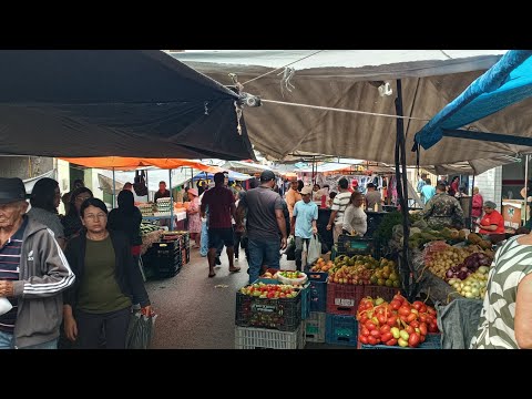 Feira livre de Palmeirina PE 28/09/2026