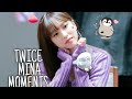 TWICE Mina moments that will brighten your day