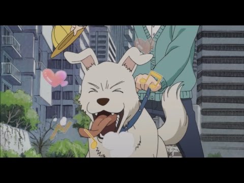 dog meets girl 3-gatsu no Lion