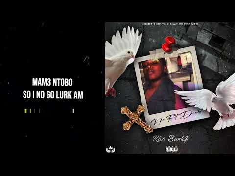 Rico Bank$ - No Fit Doubt (Official Visualizer + Lyrics) #afrodancehall  #Toronto