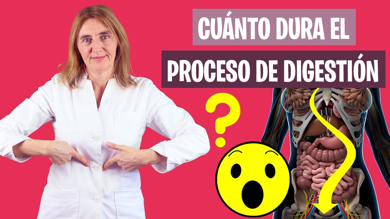 I HOPE YOU KNOW HOW LONG DIGESTION TAKES | How long does digestion take? | Nutrition and Dietetics