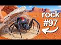 I Flipped 100 Rocks in Australia, Here's What I Found...