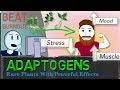 ADAPTOGENS EXPLAINED Ginseng Ashwagandha Rhodiola Science Of Stress