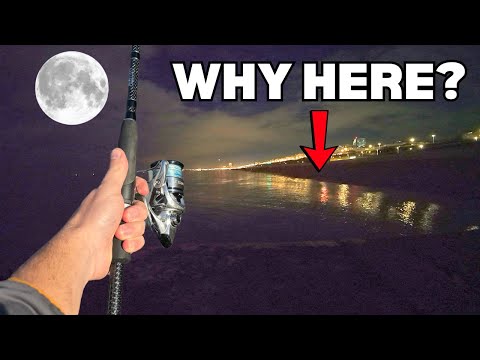 HUNDREDS of Anglers Fish Brighton Beach at Midnight - Let Me Show You Why!