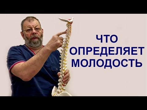 Шейный отдел позвоночника отсутствует у млекопитающих Укол в коленный сустав больно или нет