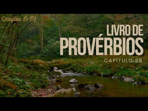 Livro de Provérbios 28