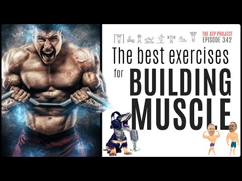 The Best Exercises to Build Muscle | The ATP Project 342