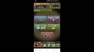 聖夜の生放送　パズドラ編
