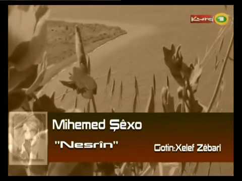 Mihemed Şêxo - Nesrîn