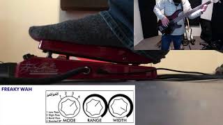 Video thumbnail for EBS Stanley Clarke Signature Wah - Playing The Preset Settings by Gnarly Murphy