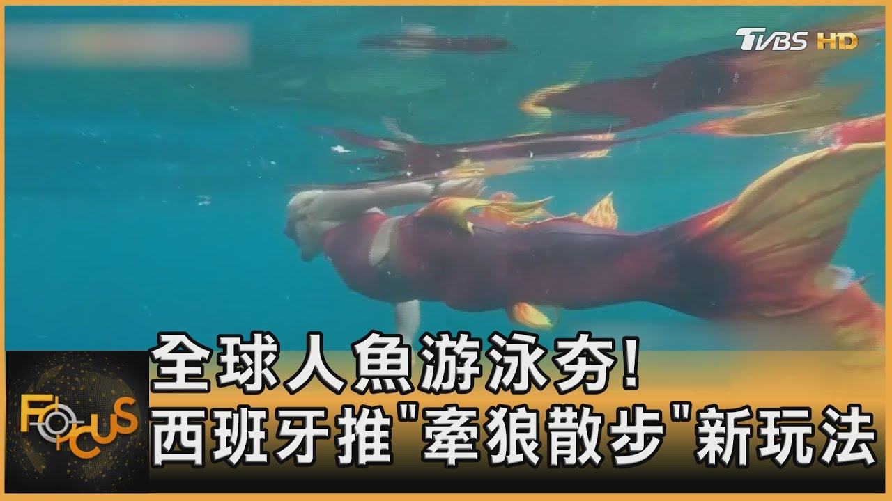 全球人魚游泳夯！西班牙推「牽狼散步」新玩法