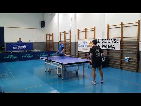 T.M.Defense - Dama de Elche GPV Transportes