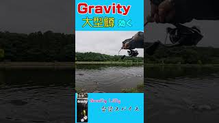 大型鱒、このスライドに反応しちゃうんだよね…【Gravity 1.65g】
